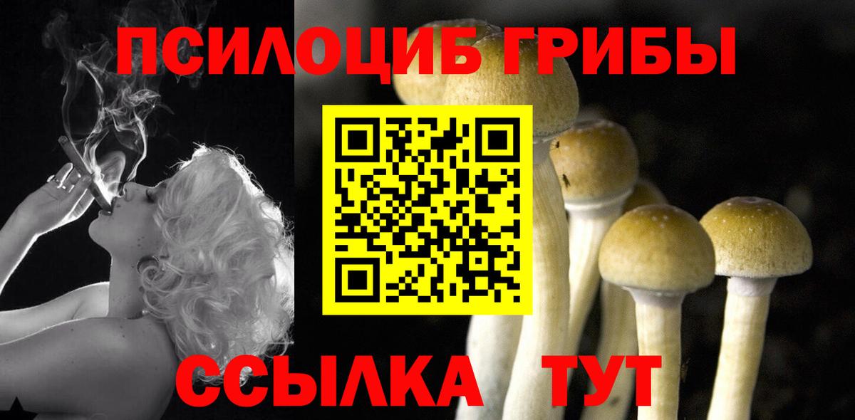 Галлюциногенные грибы Psilocybe  Вход с VPN  Амурск 
